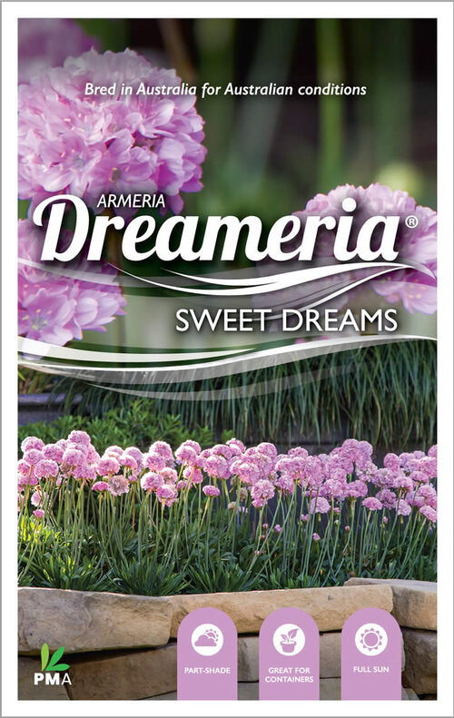 Armeria Dreameria Sweet Dreams information leaflet. It illustrates the plant including indicating that PMA was the breeder and that it was bred in Australia. This is the first PBR plant I've added to my collection.