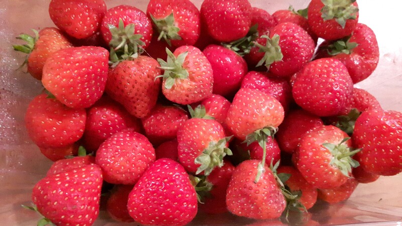 Strawberry Jammin’