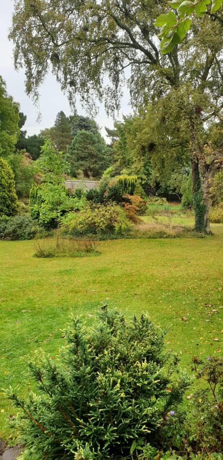 View from Cruickshank Botanic Gardens showing lots of shades of green. It may produce lots of life, but does that mean that soil itself is alive?